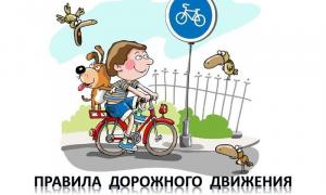 Безопасность на дороге