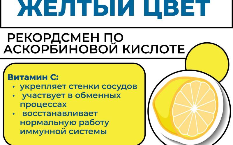 Витамины (инфографика)